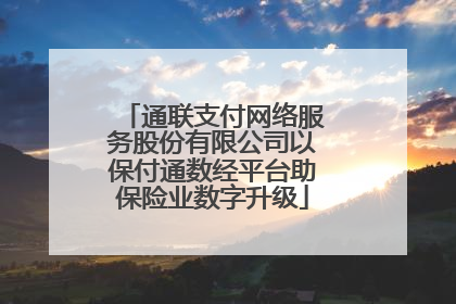 通联支付网络服务股份有限公司以保付通数经平台助保险业数字升级