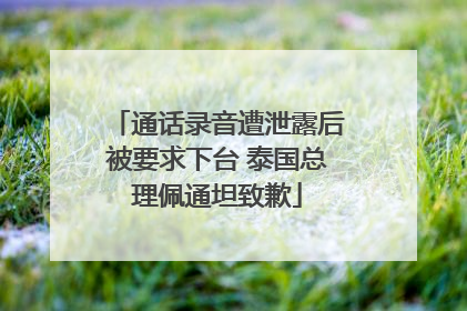通话录音遭泄露后被要求下台 泰国总理佩通坦致歉