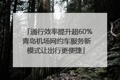 通行效率提升超60% 青岛机场网约车服务新模式让出行更便捷