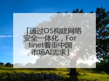 通过OS构建网络安全一体化，Fortinet看重中国市场AI需求