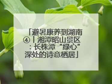避暑康养到湖南④丨湘潭昭山景区：长株潭“绿心”深处的诗意栖居