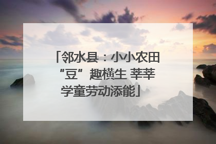 邻水县：小小农田“豆”趣横生 莘莘学童劳动添能