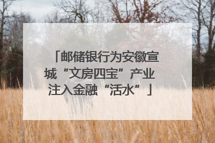 邮储银行为安徽宣城“文房四宝”产业注入金融“活水”