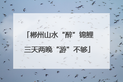 郴州山水“醉”锦鲤 三天两晚“游”不够