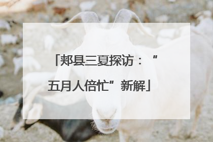 郏县三夏探访：“五月人倍忙”新解