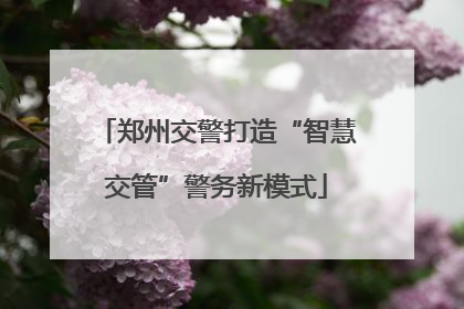 郑州交警打造“智慧交管”警务新模式