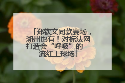 郑钦文同款赛场，湖州也有！对标法网打造会“呼吸”的一流红土球场