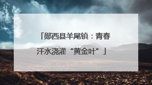 郧西县羊尾镇：青春汗水浇灌“黄金叶”