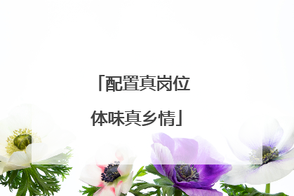 配置真岗位 体味真乡情