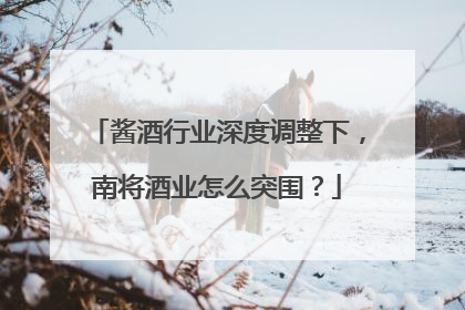 酱酒行业深度调整下，南将酒业怎么突围？