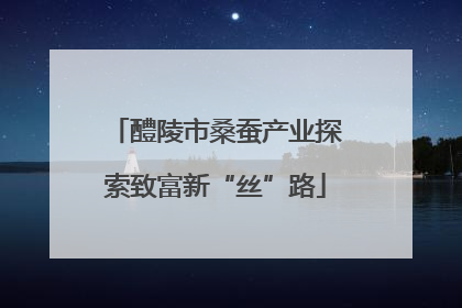 醴陵市桑蚕产业探索致富新“丝”路