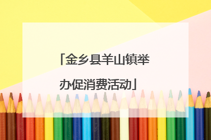 金乡县羊山镇举办促消费活动