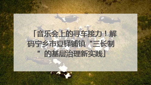 音乐会上的寻车接力！解码宁乡市夏铎铺镇“三长制”的基层治理新实践