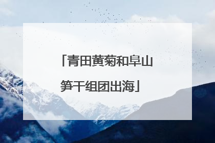 青田黄菊和阜山笋干组团出海