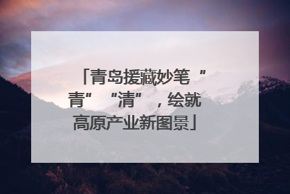 青岛援藏妙笔“青”“清”，绘就高原产业新图景