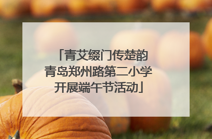 青艾缀门传楚韵 青岛郑州路第二小学开展端午节活动