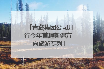 青藏集团公司开行今年首趟新疆方向旅游专列