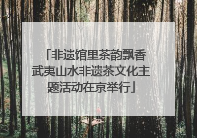非遗馆里茶韵飘香 武夷山水非遗茶文化主题活动在京举行