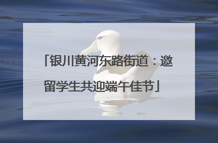 银川黄河东路街道：邀留学生共迎端午佳节