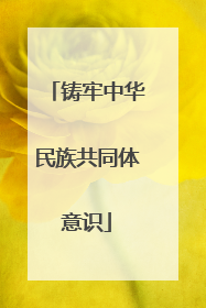 铸牢中华民族共同体意识