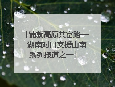 铺就高原共富路——湖南对口支援山南系列报道之一