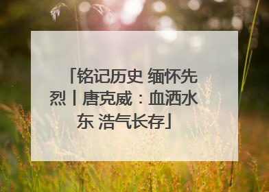 铭记历史 缅怀先烈丨唐克威：血洒水东 浩气长存