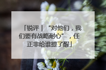 锐评｜“对他们，我们要有战略耐心”，任正非给谁提了醒