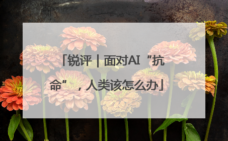 锐评｜面对AI“抗命”，人类该怎么办