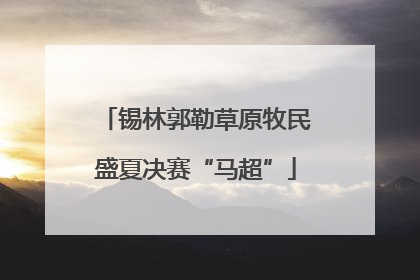 锡林郭勒草原牧民盛夏决赛“马超”