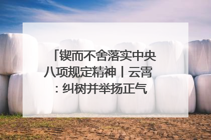 锲而不舍落实中央八项规定精神丨云霄：纠树并举扬正气 作风建设谱新章