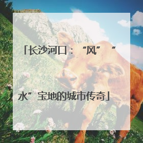 长沙河口：“风”“水”宝地的城市传奇