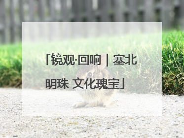 镜观·回响｜塞北明珠 文化瑰宝