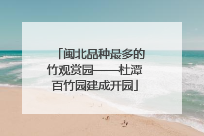 闽北品种最多的竹观赏园——杜潭百竹园建成开园