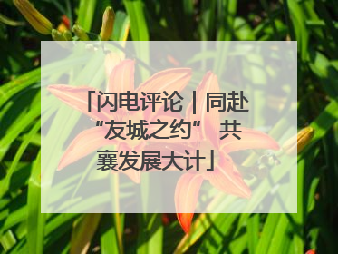 闪电评论｜同赴“友城之约” 共襄发展大计