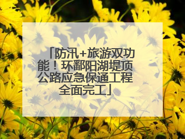防汛+旅游双功能！环鄱阳湖堤顶公路应急保通工程全面完工