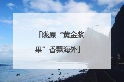 陇原“黄金浆果”香飘海外