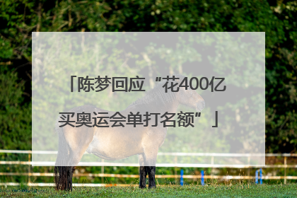 陈梦回应“花400亿买奥运会单打名额”