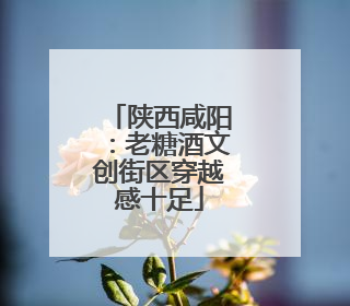 陕西咸阳：老糖酒文创街区穿越感十足