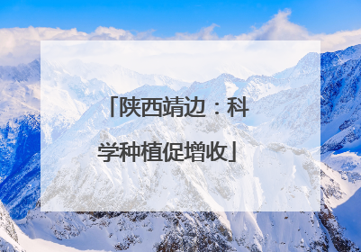 陕西靖边：科学种植促增收
