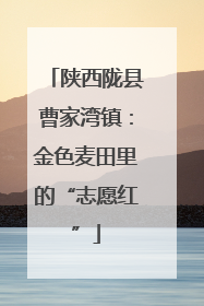 陕西陇县曹家湾镇：金色麦田里的“志愿红”
