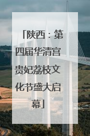 陕西：第四届华清宫贵妃荔枝文化节盛大启幕