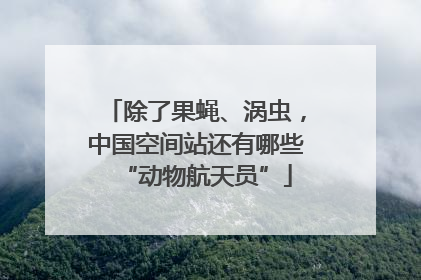 除了果蝇、涡虫，中国空间站还有哪些“动物航天员”