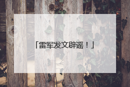 雷军发文辟谣！