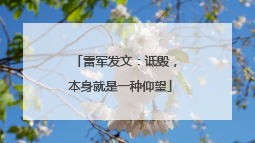 雷军发文：诋毁，本身就是一种仰望