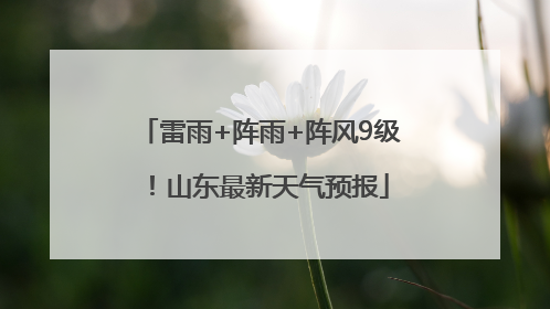 雷雨+阵雨+阵风9级！山东最新天气预报