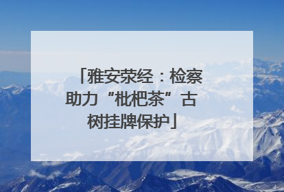 雅安荥经：检察助力“枇杷茶”古树挂牌保护