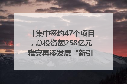 集中签约47个项目，总投资额258亿元 雅安再添发展“新引擎”｜数读西投