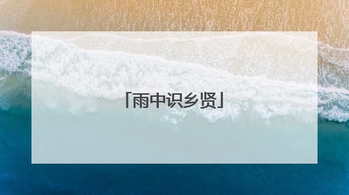 雨中识乡贤