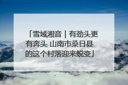 雪域湘音｜有劲头更有奔头 山南市桑日县的这个村落迎来蜕变