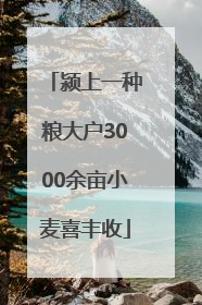 颍上一种粮大户3000余亩小麦喜丰收